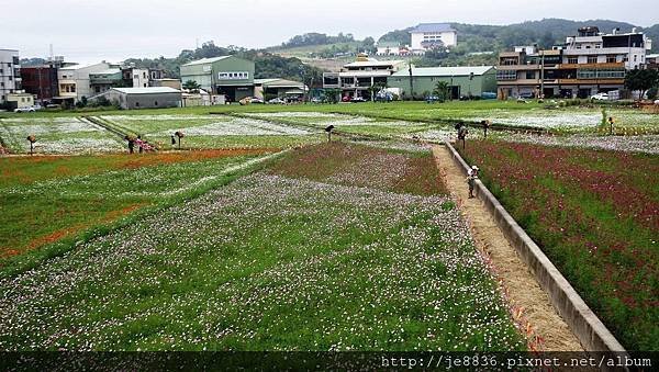 1102蘆竹花海節50.jpg