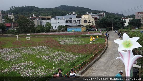 1102蘆竹花海節51.jpg