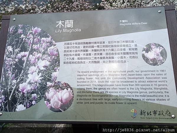 0302楓樹湖 (19).jpg