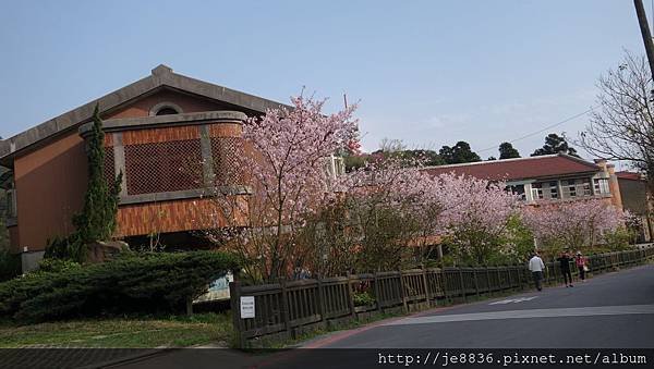 0302竹子湖 (48).jpg