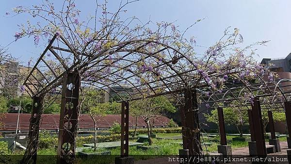 0322長庚養生村11.jpg