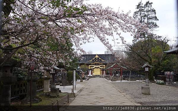 0323上野公園65.jpg