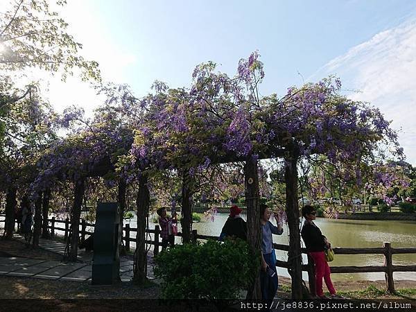 0330大湖公園3.jpg
