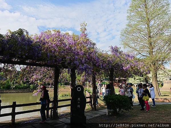 0330大湖公園4.jpg