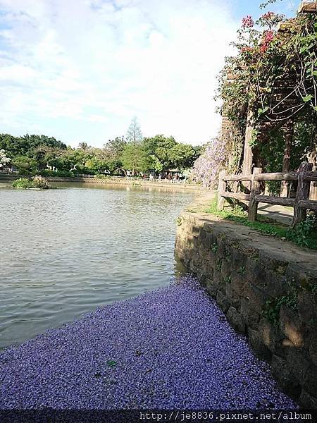0330大湖公園9.jpg