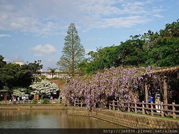 0330大湖公園12.jpg