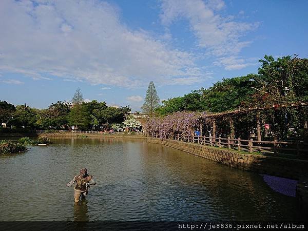 0330大湖公園11.jpg
