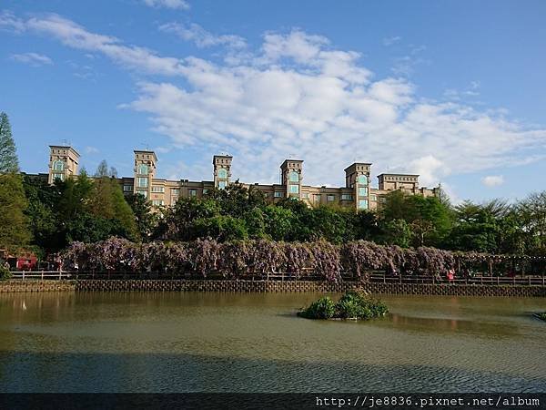 0330大湖公園15.jpg