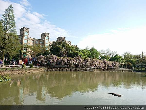 0330大湖公園17.jpg