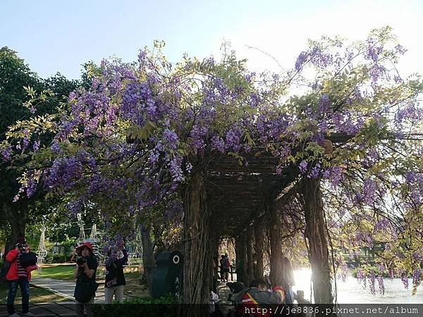 0330大湖公園19.jpg