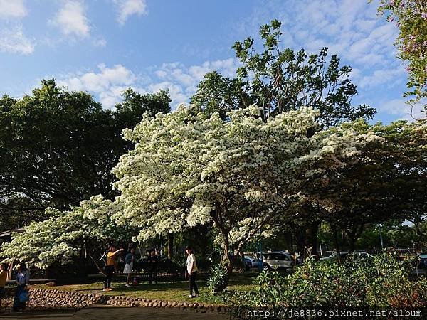 0330大湖公園30.jpg