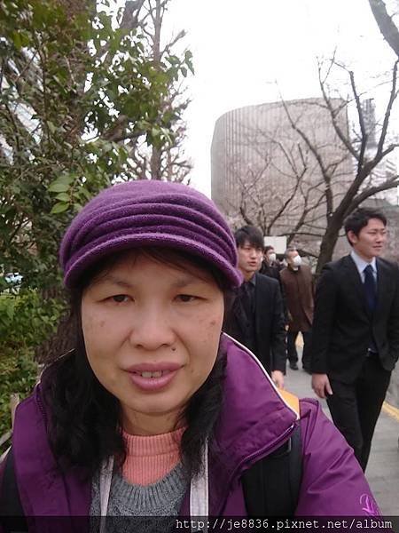 0323千鳥淵4.jpg