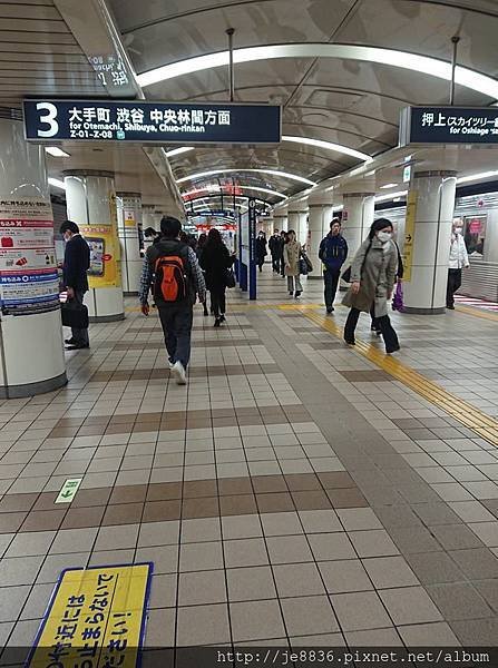 0323千鳥淵3.jpg