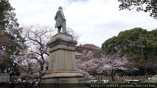 0323千鳥淵12.jpg