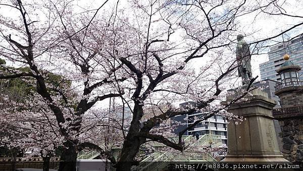 0323千鳥淵25.jpg