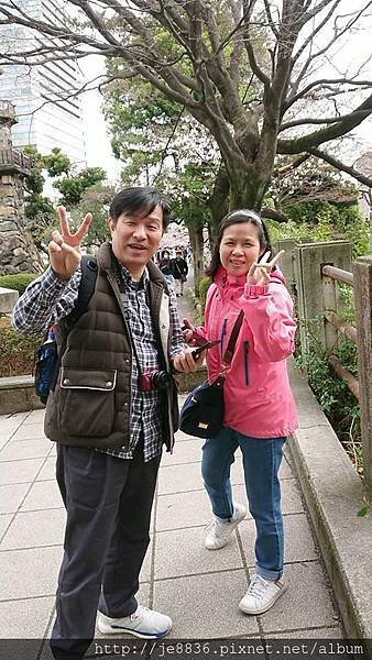 0323千鳥淵56.jpg