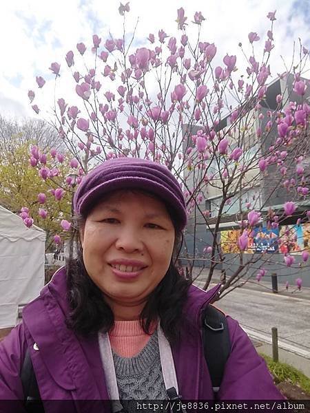 0323千鳥淵58.jpg