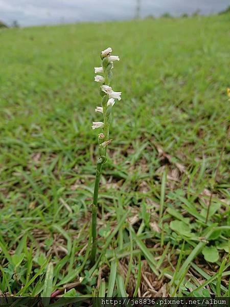 0415養生村2.jpg