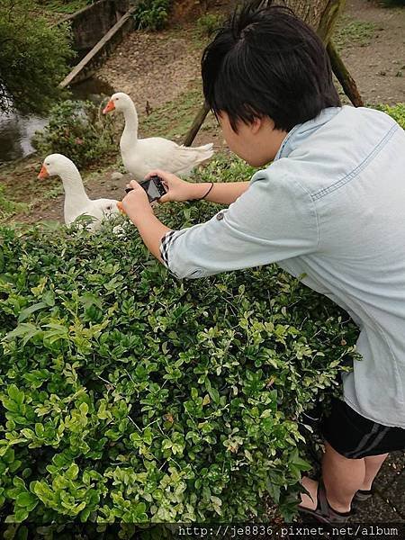 0415養生村19.jpg