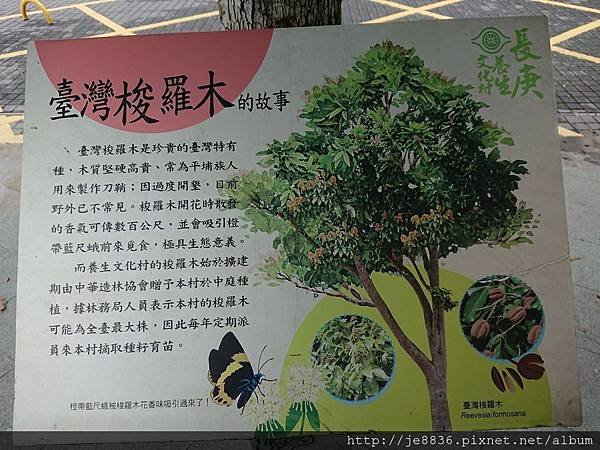 0415養生村26.jpg