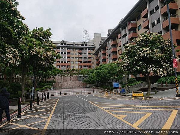 0415養生村29.jpg