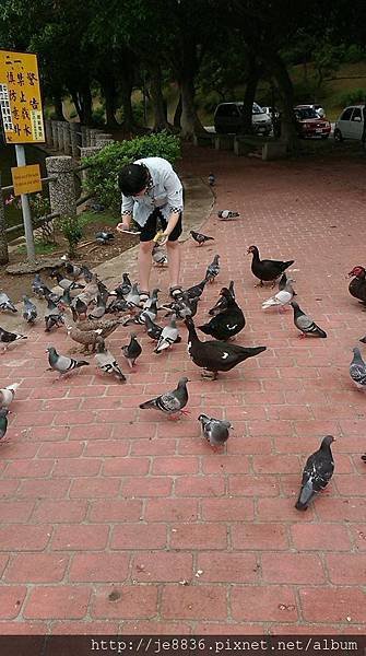 0415養生村34.jpg