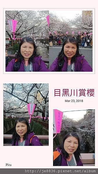 0323目黑川賞櫻1.jpg