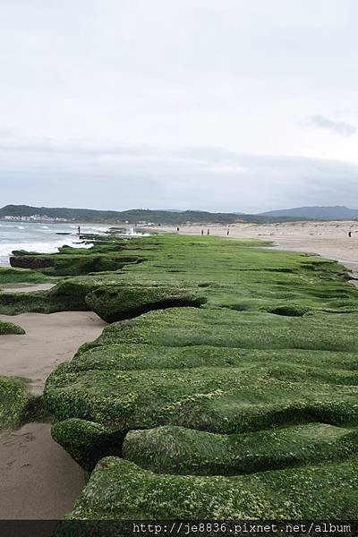 0416北海岸一日遊 (65).jpg
