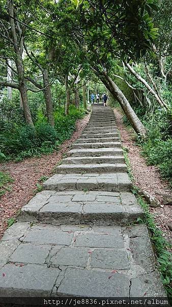 0516硬漢嶺 (21).jpg