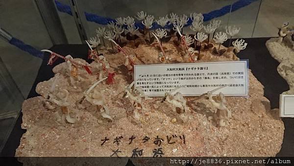 0720奄美海洋館 (46).jpg