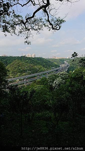 0424新林步道24.jpg