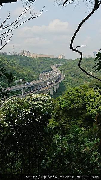 0424新林步道35.jpg