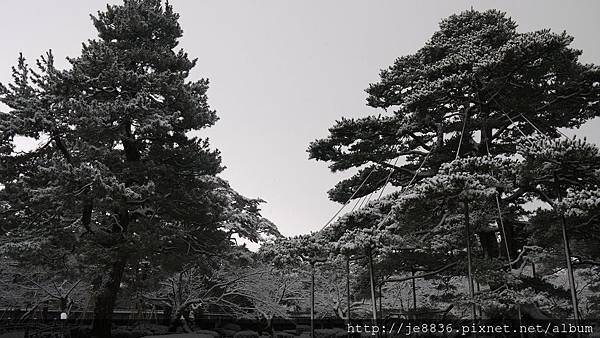 0201兼六園73相機版.jpg