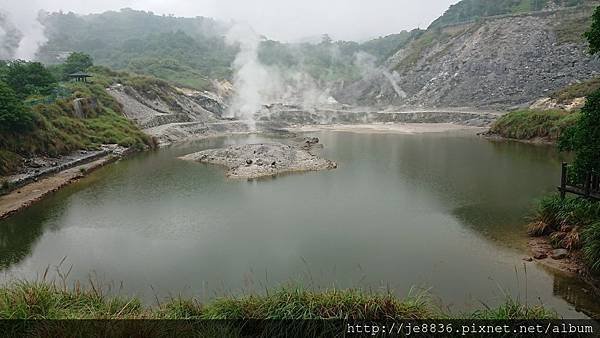 0523陽明山半日遊4.jpg