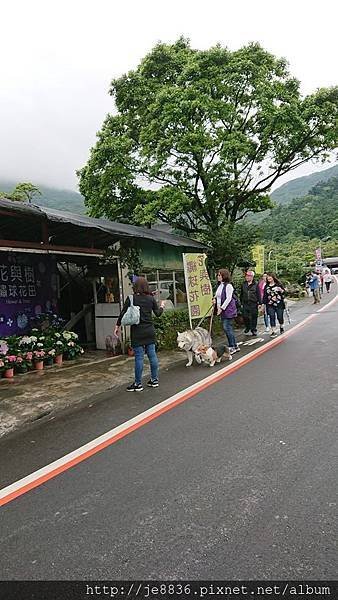 0523陽明山半日遊18.jpg