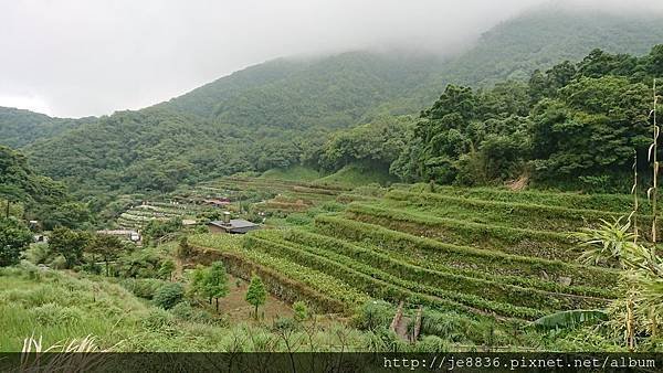 0523陽明山半日遊24.jpg