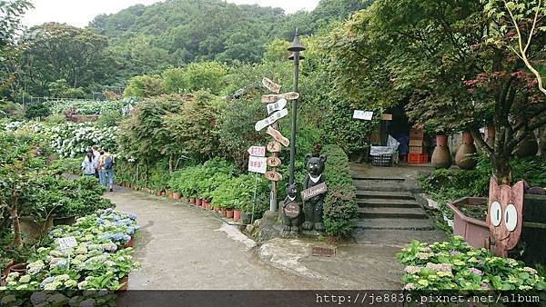 0523陽明山半日遊29.jpg