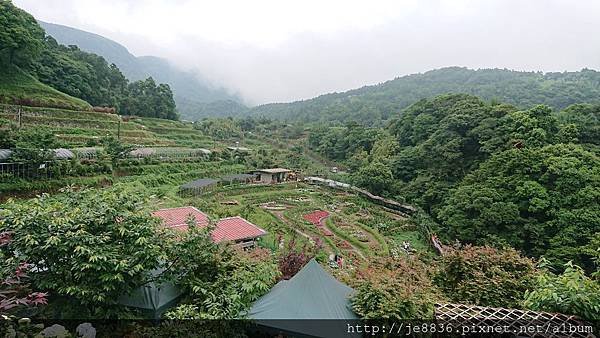 0523陽明山半日遊32.jpg