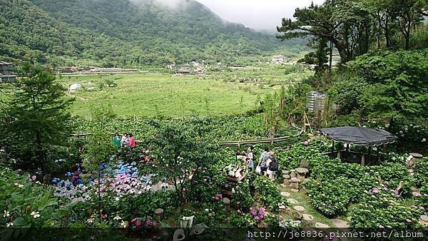 0523陽明山半日遊54.jpg