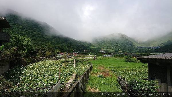 0523陽明山半日遊61.jpg