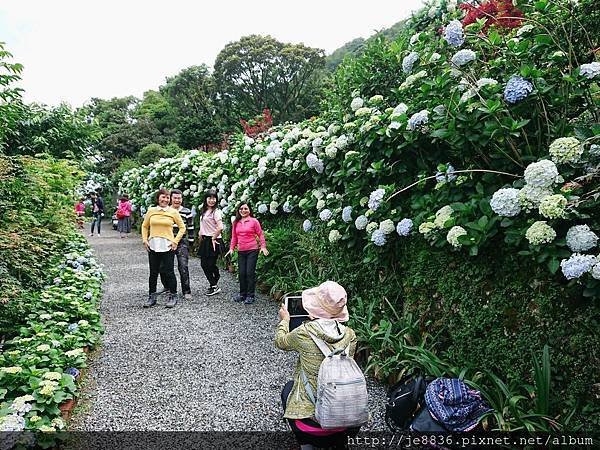 0523陽明山半日遊69.jpg