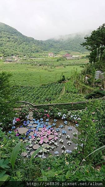 0523陽明山半日遊67.jpg