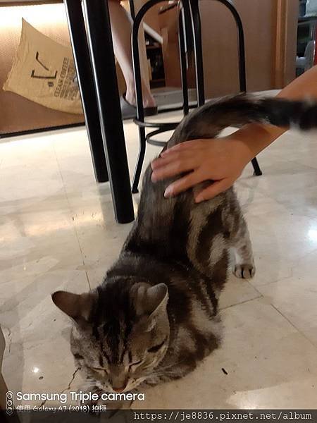 0810反轉點咖啡6.jpg