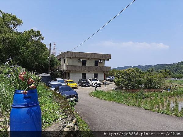 0413林口鳶尾花田24.jpg
