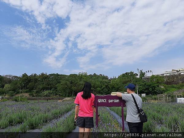 0409葛瑞絲香草田24.jpg