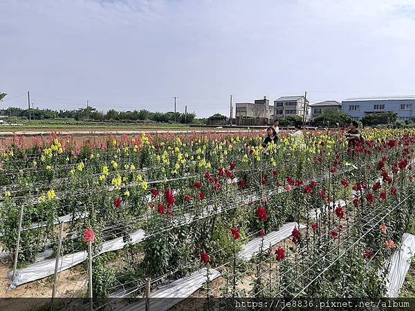 0501向陽農場9.jpg