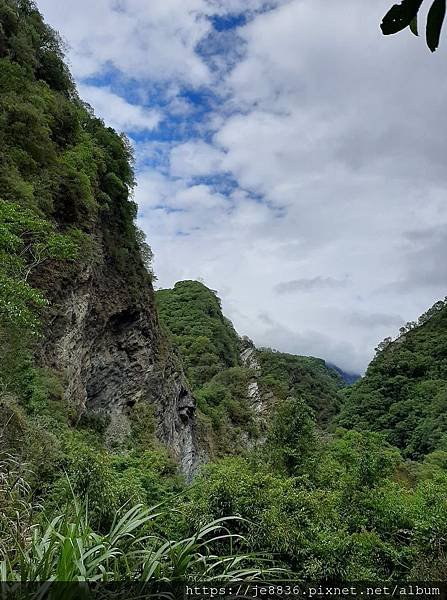 0517白楊步道58.jpg