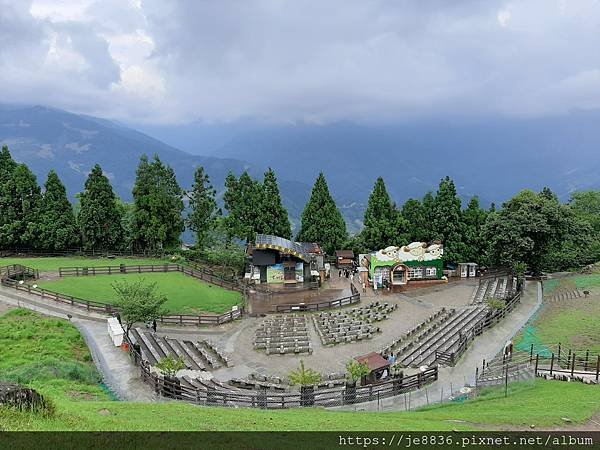 0529清境一日遊61.jpg