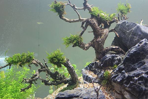 照片 030.jpg