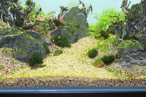 照片 069.jpg